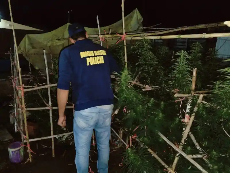 Condenaron a un joven por venta de drogas en barrio Jardín, pero cumplirá la pena con arresto domiciliario