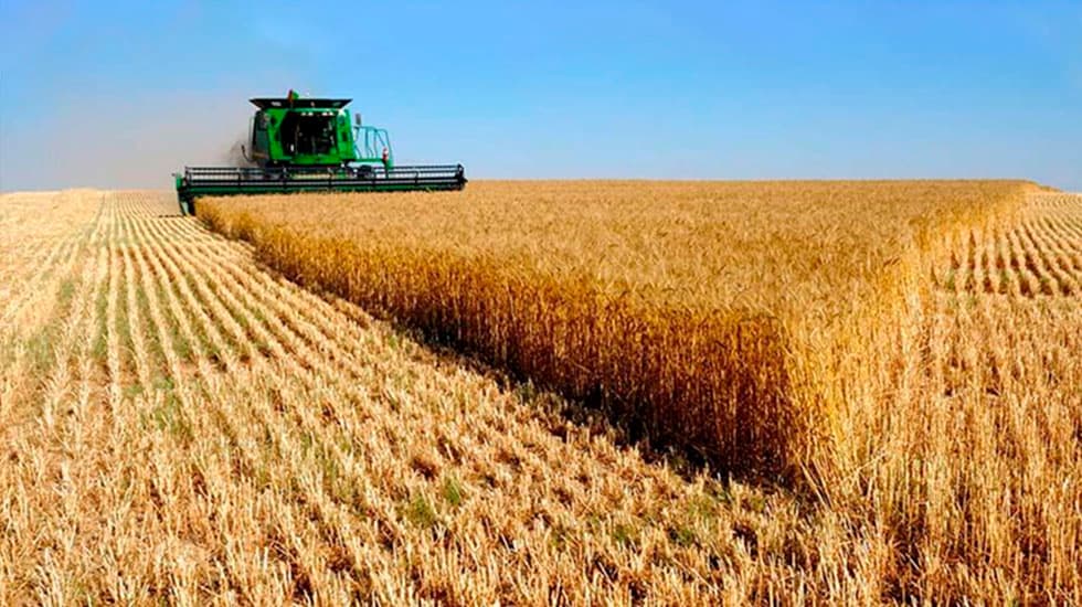 Coninagro vuelve a reclamar por las retenciones y advierte que sembrar trigo costará hasta 110 dólares más por hectárea