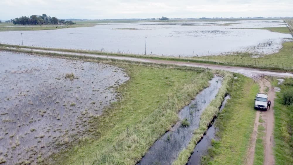 Lluvias en el campo: “Se juntaron dos problemas enormes, el agua y los costos”