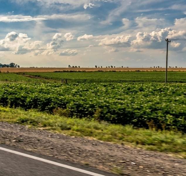 Propuesta legislativa para que los municipios gestionen el sembrado de banquinas