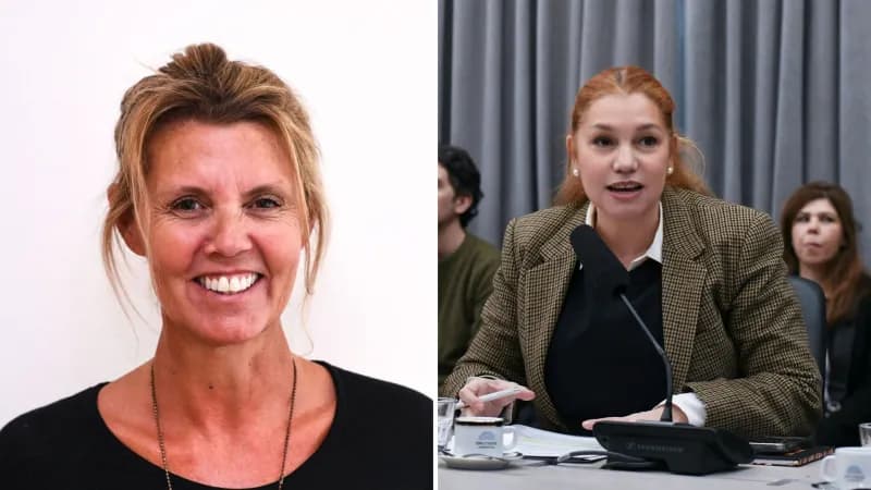 La interna radical explotó: Banfi y Alconada Alfonsín se cruzaron con durísimas acusaciones