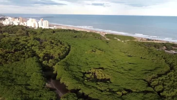 Charla para redescubrir el Parque Miguel Lillo en Necochea