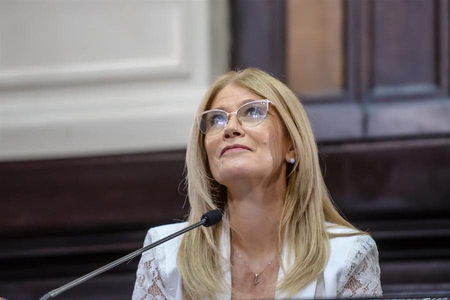 Magario define la estructura de comisiones en el Senado bonaerense