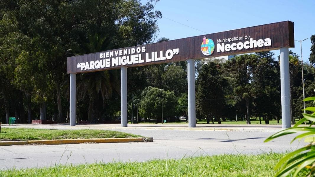 Concejales solicitan informes por la tala de árboles en el Parque Miguel Lillo