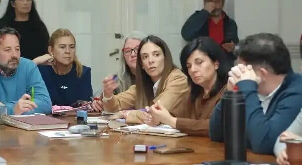 Colectivos: el Concejo escuchará a las empresas interesadas antes de avanzar con una tercera licitación